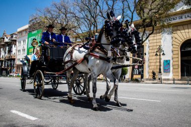 Seville, Spain - May 01, 2022 Horse and carriage driver parading at Feria de Sevilla, Spain's most famous festival, This celebration is back after two years of absence due to covid epidemic