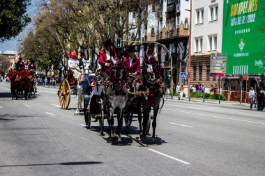 Seville, İspanya - 01 Mayıs 2022 at arabası sürücüsü İspanya 'nın en ünlü festivali Feria de Sevilla' da geçit töreni yapıyor.