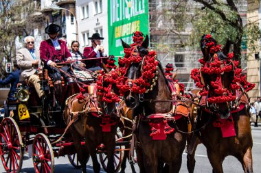 Seville, İspanya - 01 Mayıs 2022 at arabası sürücüsü İspanya 'nın en ünlü festivali Feria de Sevilla' da geçit töreni yapıyor.