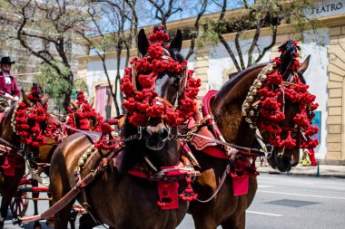 Seville, İspanya - 01 Mayıs 2022 at arabası sürücüsü İspanya 'nın en ünlü festivali Feria de Sevilla' da geçit töreni yapıyor.