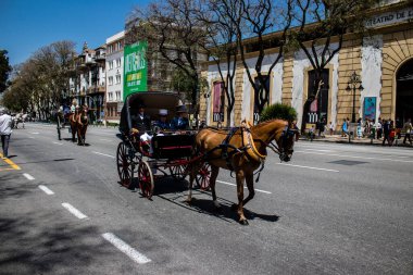 Seville, İspanya - 01 Mayıs 2022 at arabası sürücüsü İspanya 'nın en ünlü festivali Feria de Sevilla' da geçit töreni yapıyor.