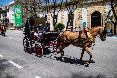 Seville, İspanya - 01 Mayıs 2022 at arabası sürücüsü İspanya 'nın en ünlü festivali Feria de Sevilla' da geçit töreni yapıyor.