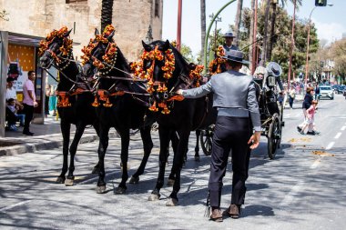 Seville, İspanya - 01 Mayıs 2022 at arabası sürücüsü İspanya 'nın en ünlü festivali Feria de Sevilla' da geçit töreni yapıyor.