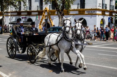 Seville, İspanya - 01 Mayıs 2022 at arabası sürücüsü İspanya 'nın en ünlü festivali Feria de Sevilla' da geçit töreni yapıyor.
