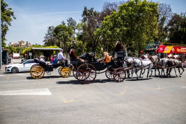 Seville, İspanya - 01 Mayıs 2022 at arabası sürücüsü İspanya 'nın en ünlü festivali Feria de Sevilla' da geçit töreni yapıyor.