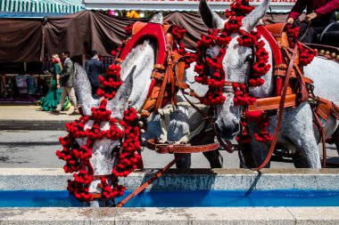Seville, İspanya - 01 Mayıs 2022 at arabası sürücüsü İspanya 'nın en ünlü festivali Feria de Sevilla' da geçit töreni yapıyor.