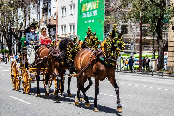 Seville, İspanya... 1 Mayıs 2022 Sevilla 'lılar geleneksel Endülüs tarzında giyinip Seville sokaklarında at arabasıyla geziyorlar.