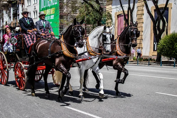 Seville, İspanya... 1 Mayıs 2022 Sevilla 'lılar geleneksel Endülüs tarzında giyinip Seville sokaklarında at arabasıyla geziyorlar.