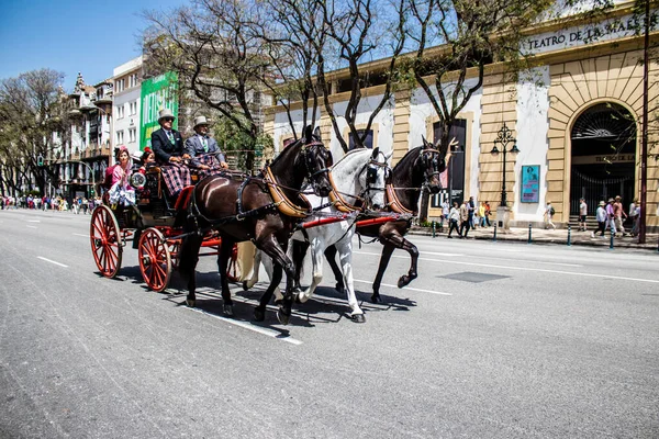 Seville, İspanya... 1 Mayıs 2022 Sevilla 'lılar geleneksel Endülüs tarzında giyinip Seville sokaklarında at arabasıyla geziyorlar.
