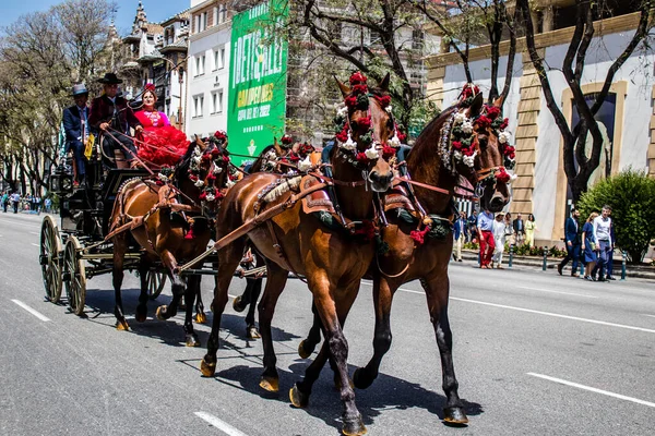 Seville, İspanya... 1 Mayıs 2022 Sevilla 'lılar geleneksel Endülüs tarzında giyinip Seville sokaklarında at arabasıyla geziyorlar.
