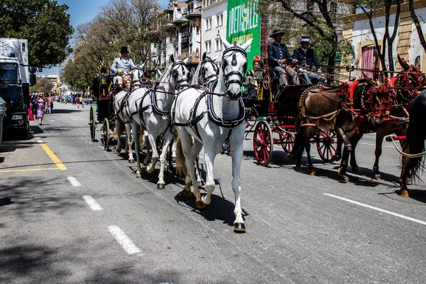 Seville, İspanya... 1 Mayıs 2022 Sevilla 'lılar geleneksel Endülüs tarzında giyinip Seville sokaklarında at arabasıyla geziyorlar.