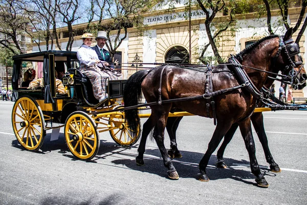 Seville Spain May 2022 Sevillians Dressed Traditional Andalusian Way Riding — Foto de Stock