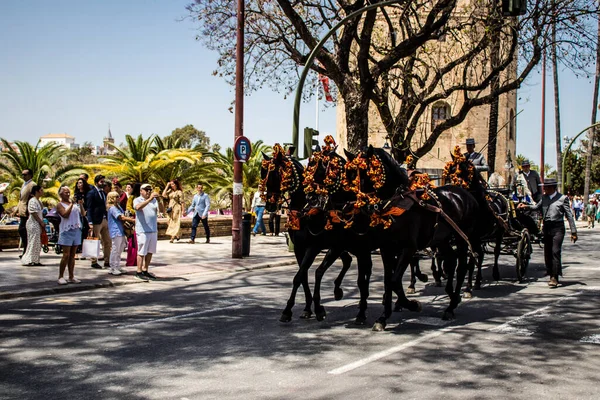 Seville, İspanya... 1 Mayıs 2022 Sevilla 'lılar geleneksel Endülüs tarzında giyinip Seville sokaklarında at arabasıyla geziyorlar.