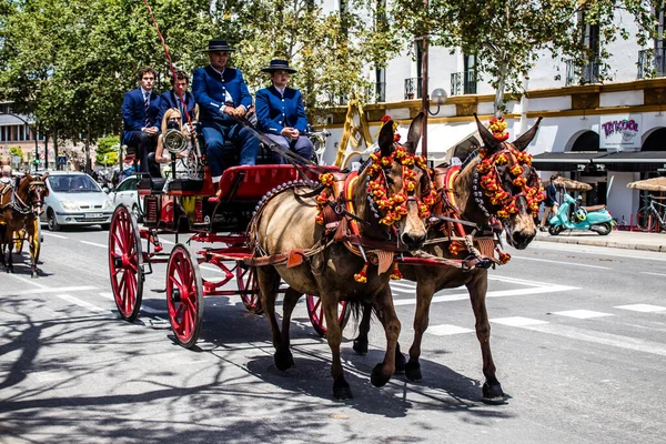 Seville, İspanya... 1 Mayıs 2022 Sevilla 'lılar geleneksel Endülüs tarzında giyinip Seville sokaklarında at arabasıyla geziyorlar.