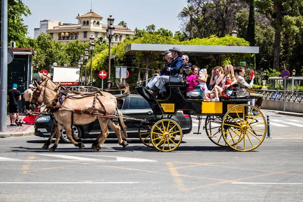 Seville, İspanya... 1 Mayıs 2022 Sevilla 'lılar geleneksel Endülüs tarzında giyinip Seville sokaklarında at arabasıyla geziyorlar.