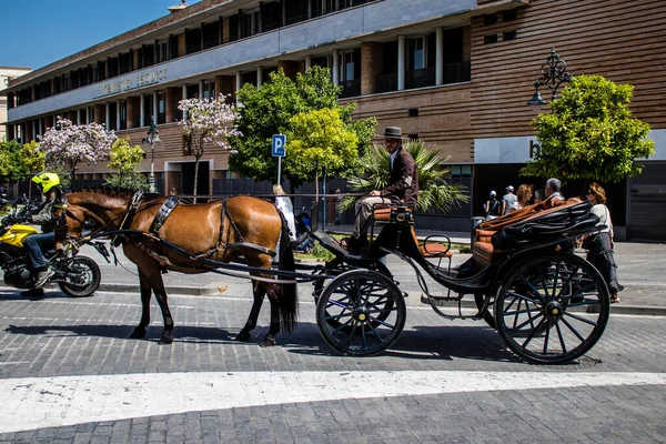 Seville, İspanya - 01 Mayıs 2022 at arabası sürücüsü İspanya 'nın en ünlü festivali Feria de Sevilla' da geçit töreni yapıyor.