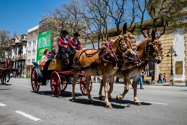 Seville, İspanya - 01 Mayıs 2022 at arabası sürücüsü İspanya 'nın en ünlü festivali Feria de Sevilla' da geçit töreni yapıyor.