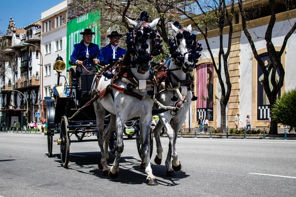 Seville, İspanya - 01 Mayıs 2022 at arabası sürücüsü İspanya 'nın en ünlü festivali Feria de Sevilla' da geçit töreni yapıyor.