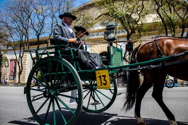 Seville, İspanya - 01 Mayıs 2022 at arabası sürücüsü İspanya 'nın en ünlü festivali Feria de Sevilla' da geçit töreni yapıyor.