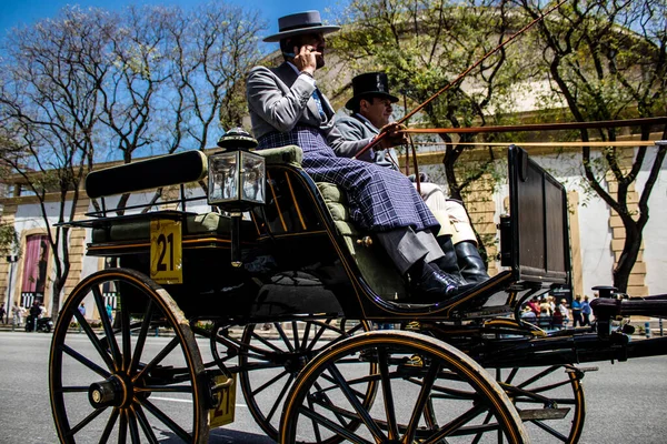 Seville, İspanya - 01 Mayıs 2022 at arabası sürücüsü İspanya 'nın en ünlü festivali Feria de Sevilla' da geçit töreni yapıyor.