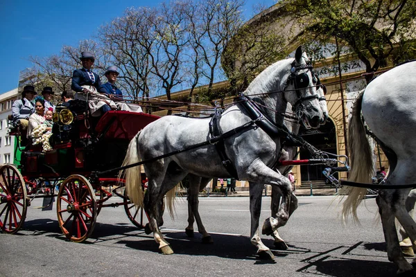 Seville, İspanya - 01 Mayıs 2022 at arabası sürücüsü İspanya 'nın en ünlü festivali Feria de Sevilla' da geçit töreni yapıyor.