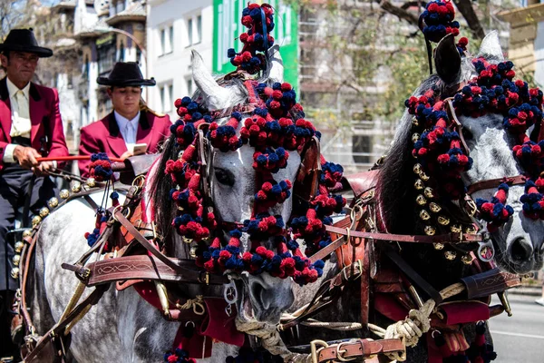 Seville, İspanya - 01 Mayıs 2022 at arabası sürücüsü İspanya 'nın en ünlü festivali Feria de Sevilla' da geçit töreni yapıyor.