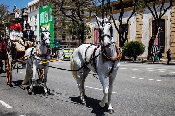 Seville, İspanya - 01 Mayıs 2022 at arabası sürücüsü İspanya 'nın en ünlü festivali Feria de Sevilla' da geçit töreni yapıyor.