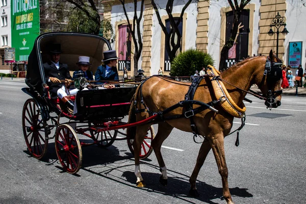 Seville, İspanya - 01 Mayıs 2022 at arabası sürücüsü İspanya 'nın en ünlü festivali Feria de Sevilla' da geçit töreni yapıyor.