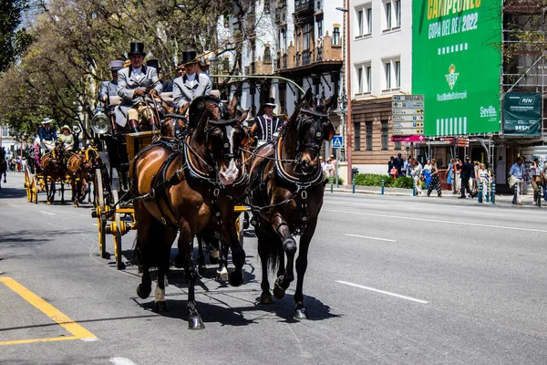 Seville, İspanya - 01 Mayıs 2022 at arabası sürücüsü İspanya 'nın en ünlü festivali Feria de Sevilla' da geçit töreni yapıyor.