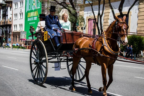 Seville, İspanya - 01 Mayıs 2022 at arabası sürücüsü İspanya 'nın en ünlü festivali Feria de Sevilla' da geçit töreni yapıyor.