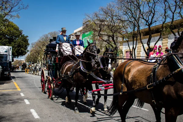 Seville, İspanya - 01 Mayıs 2022 at arabası sürücüsü İspanya 'nın en ünlü festivali Feria de Sevilla' da geçit töreni yapıyor.