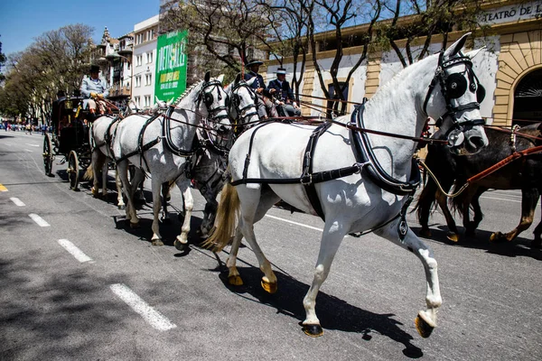 Seville, İspanya - 01 Mayıs 2022 at arabası sürücüsü İspanya 'nın en ünlü festivali Feria de Sevilla' da geçit töreni yapıyor.