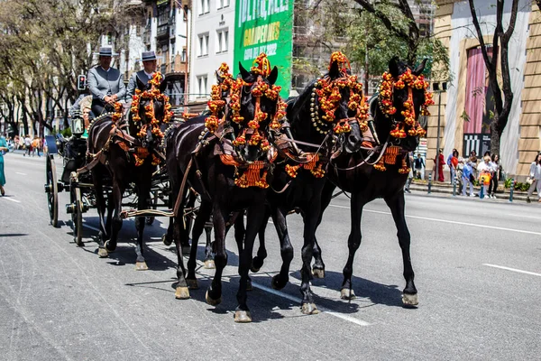 Seville, İspanya - 01 Mayıs 2022 at arabası sürücüsü İspanya 'nın en ünlü festivali Feria de Sevilla' da geçit töreni yapıyor.