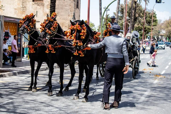 Seville, İspanya - 01 Mayıs 2022 at arabası sürücüsü İspanya 'nın en ünlü festivali Feria de Sevilla' da geçit töreni yapıyor.