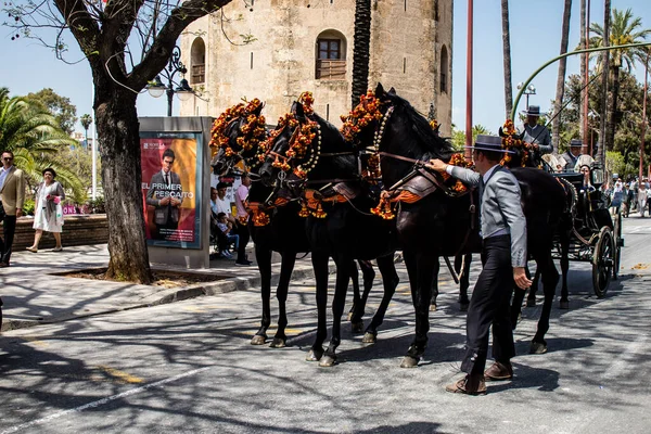 Seville, İspanya - 01 Mayıs 2022 at arabası sürücüsü İspanya 'nın en ünlü festivali Feria de Sevilla' da geçit töreni yapıyor.