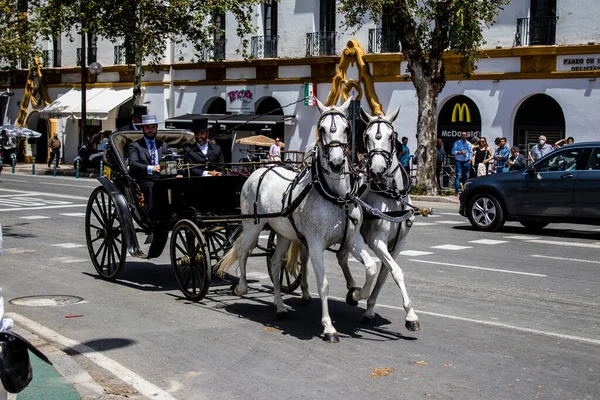 Seville, İspanya - 01 Mayıs 2022 at arabası sürücüsü İspanya 'nın en ünlü festivali Feria de Sevilla' da geçit töreni yapıyor.