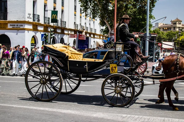 Seville, İspanya - 01 Mayıs 2022 at arabası sürücüsü İspanya 'nın en ünlü festivali Feria de Sevilla' da geçit töreni yapıyor.