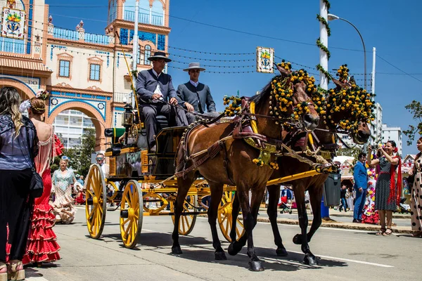 Seville, İspanya - 01 Mayıs 2022 at arabası sürücüsü İspanya 'nın en ünlü festivali Feria de Sevilla' da geçit töreni yapıyor.