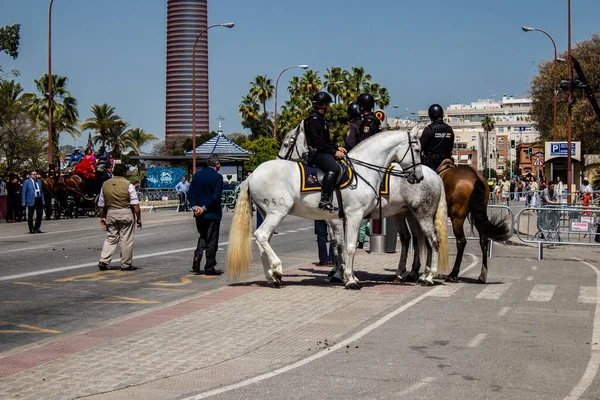 Seville, İspanya - 01 Mayıs 2022 İspanya 'nın en ünlü festivali olan Feria de Sevilla' da atla sokaklarda gezen polis iki yıl süren şiddetli bir salgından sonra kutlamaya geri döndü.