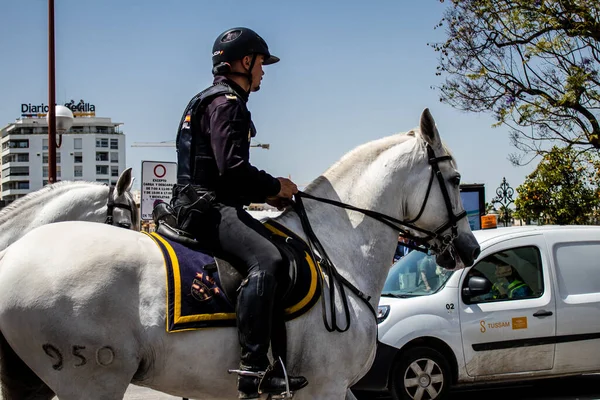 Seville Spain May 2022 Police Horse Streets Feria Sevilla Most — Foto de Stock
