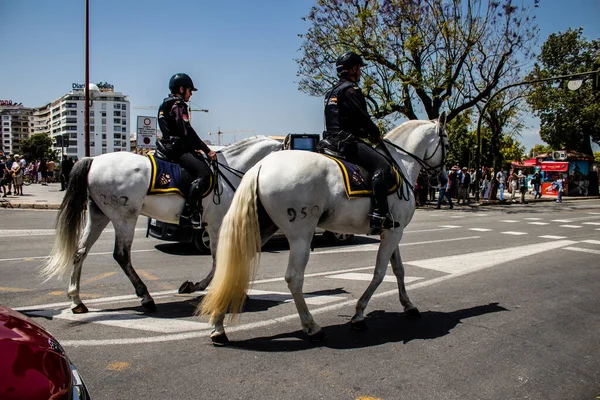 Seville, İspanya - 01 Mayıs 2022 İspanya 'nın en ünlü festivali olan Feria de Sevilla' da atla sokaklarda gezen polis iki yıl süren şiddetli bir salgından sonra kutlamaya geri döndü.