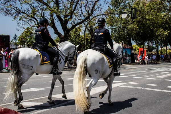 Seville, İspanya - 01 Mayıs 2022 İspanya 'nın en ünlü festivali olan Feria de Sevilla' da atla sokaklarda gezen polis iki yıl süren şiddetli bir salgından sonra kutlamaya geri döndü.
