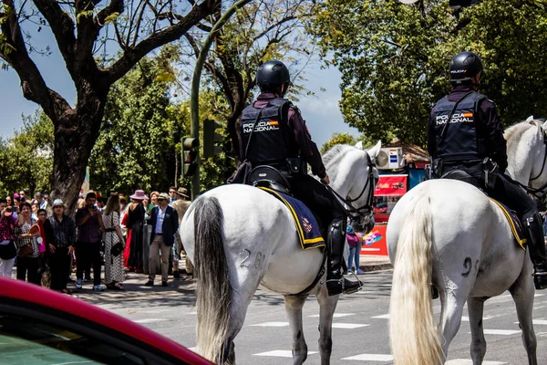 Seville, İspanya - 01 Mayıs 2022 İspanya 'nın en ünlü festivali olan Feria de Sevilla' da atla sokaklarda gezen polis iki yıl süren şiddetli bir salgından sonra kutlamaya geri döndü.