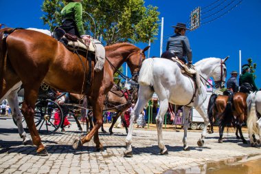 Seville, İspanya - 5 Mayıs 2022 Sevilya 'nın en ünlü festivali olan Feria de Seville' in koridorlarında geleneksel Endülüs tarzı giyinmiş