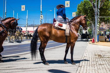 Seville, İspanya - 5 Mayıs 2022 Sevilya 'nın en ünlü festivali olan Feria de Seville' in koridorlarında geleneksel Endülüs tarzı giyinmiş