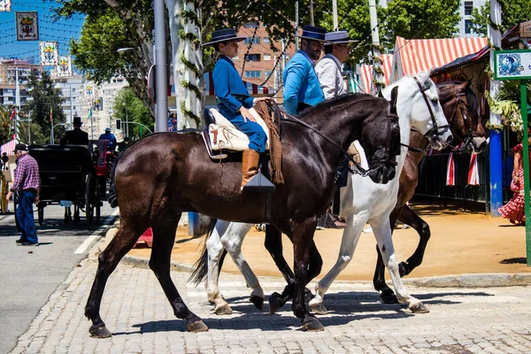 Seville, İspanya - 5 Mayıs 2022 Sevilya 'nın en ünlü festivali olan Feria de Seville' in koridorlarında geleneksel Endülüs tarzı giyinmiş