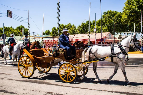 Seville, İspanya - 5 Mayıs 2022 Sevillianlar geleneksel Endülüs tarzında giyinmiş bir şekilde İspanya 'nın en ünlü festivali olan Feria de Sevilla' nın koridorlarında at arabasıyla dolaşıyorlar.