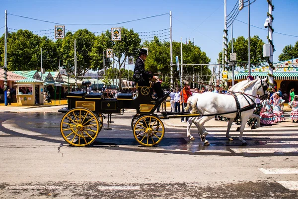 Seville, İspanya - 5 Mayıs 2022 Sevillianlar geleneksel Endülüs tarzında giyinmiş bir şekilde İspanya 'nın en ünlü festivali olan Feria de Sevilla' nın koridorlarında at arabasıyla dolaşıyorlar.