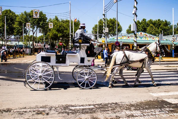 Seville, İspanya - 5 Mayıs 2022 Sevillianlar geleneksel Endülüs tarzında giyinmiş bir şekilde İspanya 'nın en ünlü festivali olan Feria de Sevilla' nın koridorlarında at arabasıyla dolaşıyorlar.