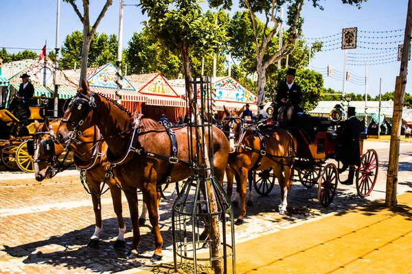 Seville, İspanya - 5 Mayıs 2022 Sevillianlar geleneksel Endülüs tarzında giyinmiş bir şekilde İspanya 'nın en ünlü festivali olan Feria de Sevilla' nın koridorlarında at arabasıyla dolaşıyorlar.